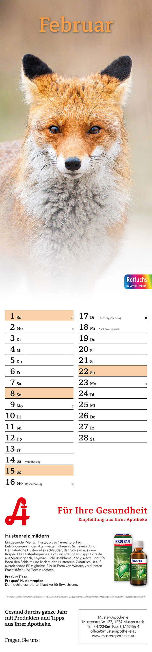 Apotheken Gesundheitskalender